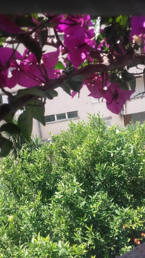 Centar Guest House Makarska Exterior foto